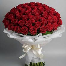 Букет 101 Красная роза Блэк Мэджик в Щелкино