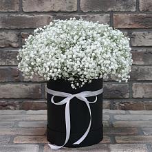 Цветочная композиция из Гипсофила в шляпной коробке #REPLACE_PRED# Щелкино